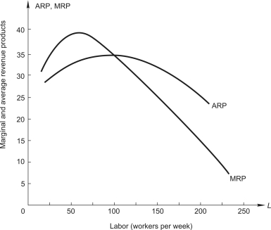 To answer the question,refer to the following figure,showing the marginal revenue product (MRP) and the average revenue product (ARP) curves of a perfectly competitive firm hiring a single variable input,labor.   If the wage is $15,how many workers will the firm hire? A) 250 B) zero C) 100 D) 200