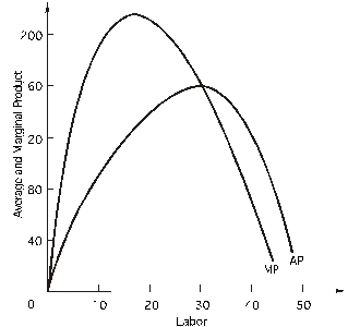   In the figure above,the wage rate is $600 and total fixed cost is $15,000.How much output does the firm produce when average variable cost is at its minimum? A) 270 B) 375 C) 30 D) 1,600 E) 4,800