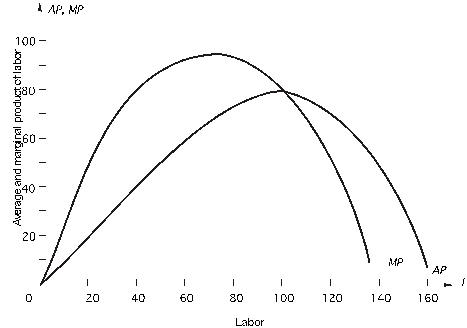 The following graph shows the marginal and average product curves for labor,the firm's only variable input.The monthly wage for labor is $2,800.Fixed cost is $160,000.   When the firm uses 120 units of labor,what is its AVC at this output? A) $40 B) $70 C) $60 D) $56 E) none of the above