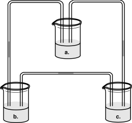 Figure 6.3    -Figure 6.3 shows three containers of water connected by tubes. A selectively permeable membrane divides each tube. Solutes are added to each container to give final concentrations of 5% NaCl in a; 10% NaCl in b; and 5% sucrose in c. When the experiment is first set up, the initial movement of water will be A)  a to c; c to b; c to a. B)  a to b; c to b; c to a. C)  a to b; b to c; c to a. D)  b to a; b to c; c to a. E)  a to c; b to c; c to a.