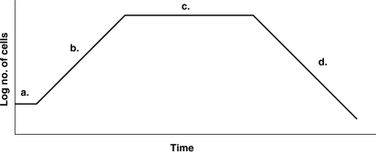 Figure 6.2    -In Figure 6.2, which sections of the graph illustrate a logarithmic change in cell numbers? A)  b and d B)  c and d C)  a and b D)  a and c E)  b only