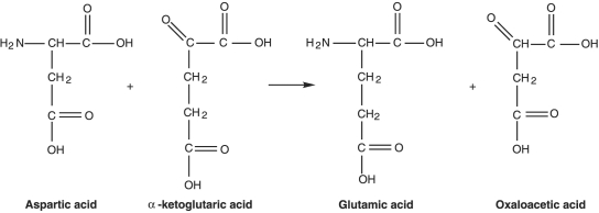 Figure 5.2    -What type of reaction is in Figure 5.2? A)  Reduction B)  Decarboxylation C)  Dehydrogenation D)  Oxidation E)  Transamination