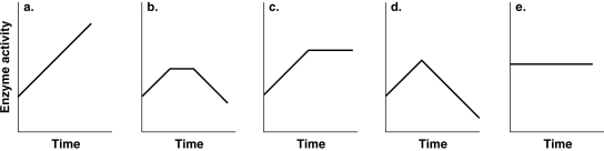 Figure 5.5    -Which of the graphs in Figure 5.5 best illustrates the activity of an enzyme that is saturated with substrate? A)  a B)  b C)  c D)  d E)  e