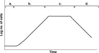 Figure 28.1    -In Figure 28.1, assume you want an enzyme that is not secreted. You would harvest at the end of what time? A)  a B)  b C)  c D)  d