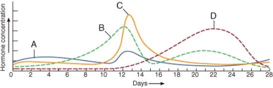 The graph shown below depicts the hormonal changes that occur during the female reproductive cycle. Day one on this graph represents the onset of menses. Based on what you know about the events induced by the hormones shown in the graph, on what day would you predict that ovulation would occur?   A) Day 1 B) Day 6 C) Day 12 D) Day 14 E) Day 26