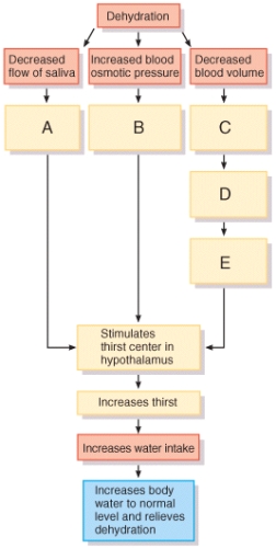 What type of receptors (labeled B in the diagram) are used to sense increased blood osmotic pressure?   A) baroreceptors B) nociceptors C) proprioceptors D) mechanoreceptors E) osmoreceptors