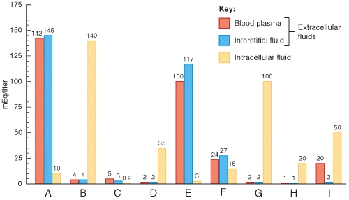 Which of the following solutes would have the unique body fluid distribution pattern that is labeled I in the graph?   A) sodium B) potassium C) calcium D) phosphate E) protein anions