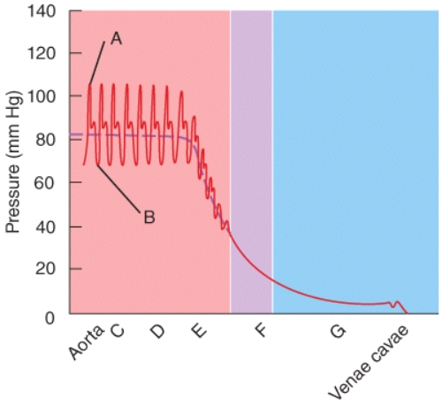 In a clinical setting using a sphygmomanometer, how would the blood pressure of the individual whose results are shown in the diagram be reported?   A) 120/80 B) 105/70 C) 82 D) 80/120 E) 70/105