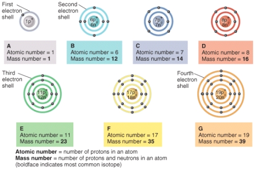 Which of the following statements would be true if atom G donated one valence electron to atom F?   A) Both atoms would become anions. B) New isotopes of each atom would be formed. C) Atom F would become an anion and atom G would become a cation. D) Atom G would become an anion and atom F would become a cation E) The atoms would both become new elements.