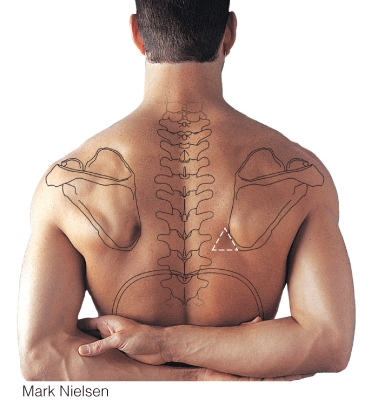 If a patient folds the arms across the chest and bends forward, the lung sounds can be heard (at the triangular area shown in the figure) in the intercostal space between which two ribs?