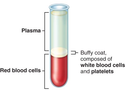 What percentage of a centrifuged sample of whole blood is occupied by red blood cells?  