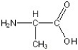 Match the following. -  A) aspartic acid B) lysine C) glycine D) phenylalanine E) serine F) alanine