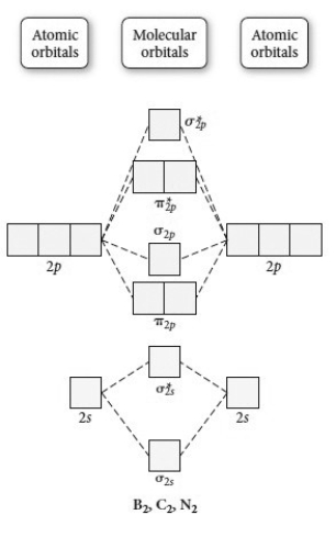 Use the molecular orbital diagram shown to determine which of the following is least stable.   A)  C<sub>2</sub><sup>2</sup>⁺ B)  N<sub>2</sub><sup>2</sup>⁺ C)  B<sub>2</sub> D)  C<sub>2</sub><sup>2</sup>⁻ E)  B<sub>2</sub>⁺