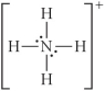 Choose the best Lewis structure for NH<sub>4</sub>⁺. A)    B)    C)    D)    E)   