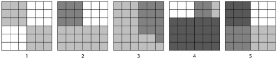   Figure 41.2 Examine Figure 41.2.Which block shows the greatest diversity? A) 1 B) 2 C) 3 D) 4 E) 5