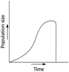 Which of the following graphs illustrates the growth curve of a small population of rodents that has grown to reach a static carrying capacity? A)    B)    C)    D)    E)   