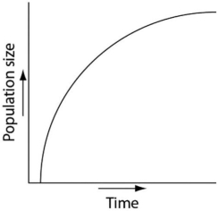Which of the following graphs illustrates the growth curve of a small population of rodents that has grown to reach a static carrying capacity? A)    B)    C)    D)    E)   