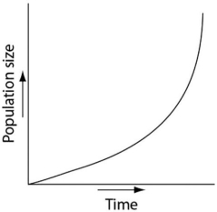 Which of the following graphs illustrates the growth curve of a small population of rodents that has grown to reach a static carrying capacity? A)    B)    C)    D)    E)   