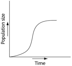 Which of the following graphs illustrates the growth curve of a small population of rodents that has grown to reach a static carrying capacity? A)    B)    C)    D)    E)   