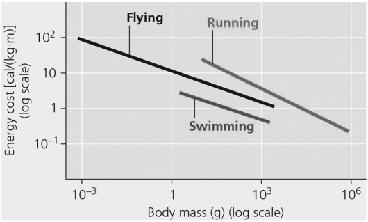   Figure 39.2 The most energetically efficient locomotion per unit mass is likely A) running by a 50-gram mouse. B) running by a 40-kg horse. C) flying by a 4-g hummingbird. D) swimming by a 10-g stickleback (bony fish) . E) swimming by a 100-kg shark.