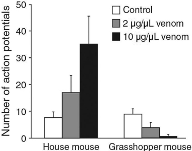 Researchers injected bark scorpion venom in mouse neurons (both a common house mouse and the southern grasshopper mouse) and measured how many action potentials were generated after the venom was introduced.Their data are shown below.   Based on these data,what effect do you think the venom is having on the grasshopper mouse? A) The venom is blocking voltage-gated sodium channels. B) The venom is blocking voltage-gated potassium channels. C) The venom is opening voltage-gated sodium channels. D) The venom is opening voltage-gated potassium channels.