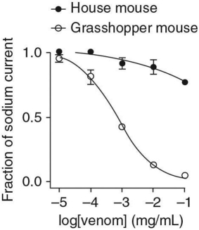 Researchers injected bark scorpion venom in mouse neurons (both a common house mouse and the southern grasshopper mouse) and measured the flow of sodium ions across the cell membrane.Their data are shown below.   Based on these data,what effect do you think the venom is having on the grasshopper mouse? A) The venom is blocking voltage-gated sodium channels. B) The venom is blocking voltage-gated potassium channels. C) The venom is opening voltage-gated sodium channels. D) The venom is opening voltage-gated potassium channels.