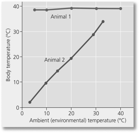 The graph shows the body temperatures of two animals as a function of the environmental temperature.What might Animal 2 be?   A) human B) lobster C) seagull D) dog