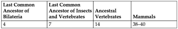   Table 27.1.Proposed Number of Hox Genes in Various Extant and Extinct Animals -All things being equal,which of these is the simplest explanation for the change in the number of Hox genes from the last common ancestor of insects and vertebrates to ancestral vertebrates,as shown in Table 27.1? A) the occurrence of seven independent duplications of individual Hox genes B) the occurrence of 14 independent duplications of individual Hox genes C) the occurrence of two distinct duplications of the entire seven-gene cluster,followed by the loss of one cluster D) the occurrence of a single duplication of the entire seven-gene cluster