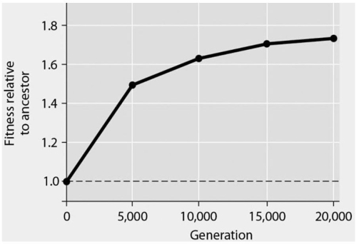 Please use the following information to answer the question(s) below. In Figure 24.1,data are presented from an eight-year experiment in which 12 populations of Escherichia coli,each begun from a single cell,were grown in low-glucose conditions for 20,000 generations.Each culture was introduced to fresh growth medium every 24 hours.Occasionally,samples were removed from the populations,and their fitness in low-glucose conditions was tested against that of members sampled from the ancestral (common ancestor) E.coli population.    Figure 24.1 -If the vertical axis of Figure 24.1 refers to  Darwinian fitness,  then which of the following is the most valid and accurate measure of fitness? A) number of offspring or close kin that survive to reproductive age B) amount of ATP generated per cell per unit time C) average swimming speed of cells through the growth medium D) amount of glucose synthesized per unit time E) number of generations per unit time