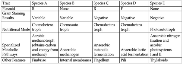 The table depicts characteristics of five prokaryotic species (A-E) .Use the information in the table to answer the following question(s) .    Table 24.1 -Which two species in Table 24.1 should have much more phospholipid,in the form of bilayers,in their cytoplasm than most other bacteria? A) species A and B B) species A and C C) species B and E D) species C and D E) species C and E