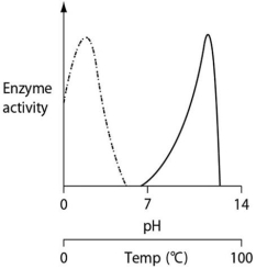 Thermoacidophiles are archaeans that are able to successfully live and reproduce in environments that are acidic,have high sulfur content and temperatures,and have little organic material.Consider the thermoacidophile Sulfolobus acidocaldarius.Which of the following graphs most accurately depicts the expected temperature and pH profiles of its enzymes? (Note: The horizontal axes of these graphs are double,with pH above and temperature below. )    A)    B)    C)    D)   