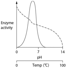 Thermoacidophiles are archaeans that are able to successfully live and reproduce in environments that are acidic,have high sulfur content and temperatures,and have little organic material.Consider the thermoacidophile Sulfolobus acidocaldarius.Which of the following graphs most accurately depicts the expected temperature and pH profiles of its enzymes? (Note: The horizontal axes of these graphs are double,with pH above and temperature below. )    A)    B)    C)    D)   