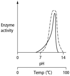 Thermoacidophiles are archaeans that are able to successfully live and reproduce in environments that are acidic,have high sulfur content and temperatures,and have little organic material.Consider the thermoacidophile Sulfolobus acidocaldarius.Which of the following graphs most accurately depicts the expected temperature and pH profiles of its enzymes? (Note: The horizontal axes of these graphs are double,with pH above and temperature below. )    A)    B)    C)    D)   