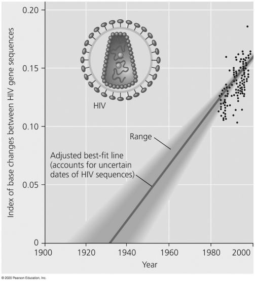 Researchers obtained the data depicted in this figure by sampling human blood containing HIV and then isolating and sequencing genes within the human immunodeficiency virus's DNA .What does the y-axis represent?   A) an index of natural selection on the HIV genes studied B) an index of mutations within gene regions of HIV that are unrelated to the success of the virus (such as how virulent it is or how well it reproduces within its human hosts)  C) a measurement of changes between HIV gene sequences,specifically on genes important for the replication,reproduction,and spreading of the virus D) an index of time since the first human HIV infection occurred