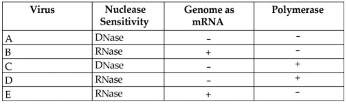 In 1971,David Baltimore described a scheme for classifying viruses based on how the virus produces mRNA,referred to as the Baltimore requirements.The table below shows the results of testing five viruses (A-E) for nuclease sensitivity,the ability of the viral genome to act as an mRNA,and the presence (+) or absence (-) of each virus's own polymerase.   Based on the table above,which virus meets the requirements for a bacteriophage? A) A B) B C) C D) D E) E