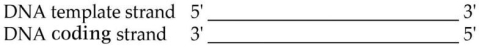   -Given the locally unwound double strand of DNA in the figure above,in which direction and on what strand does the RNA polymerase move during transcription? A) 3' → 5' along the template strand B) 5' → 3' along the template strand C) 3' → 5' along the complementary strand D) 5' → 3' along the complementary strand