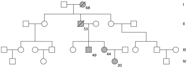 <strong> The figure above represents a pedigree for a family in which dark-shaded symbols represent individuals with one of the two major types of colon cancer.Numbers under the symbols are the individuals' age at the time of diagnosis.A slash through the symbol indicates that the individual is deceased.The affected woman in generation IV is thinking about her future and asks her oncologist (cancer specialist)whether she can know if any or all of her children will have a high risk of the same cancer.The doctor would be expected to advise which of the following: (I)genetic counseling; (II)prenatal diagnosis when/if she becomes pregnant; (III)testing to see whether she has the allele; (IV)testing to see whether her future spouse or partner has the allele?</strong> A)I: genetic counseling only B)II: prenatal diagnosis when/if she becomes pregnant C)I: genetic counseling;II: prenatal diagnosis when/if she becomes pregnant;and IV: testing to see whether her future spouse or partner has the allele only D)III: testing to see whether she has the allele only