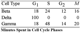   The data in the table above were obtained from a study of the length of time spent in each phase of the cell cycle by cells of three eukaryotic organisms designated beta,delta,and gamma.The best conclusion concerning delta is that the cells A) contain no DNA. B) contain only one chromosome that is very small. C) are actually in the G<sub>0</sub> phase. D) synthesize DNA in the G<sub>1</sub> phase
