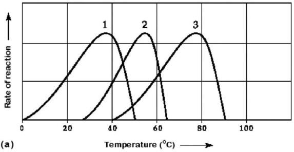       Figure 6.3 Activity of various enzymes (a) at various temperatures and (b) at various pH. -Which curves on the graphs in Figure 6.3 may represent the temperature and pH profiles of an enzyme taken from a bacterium that lives in a mildly alkaline hot spring at temperatures of 70°C or higher? A) curves 1 and 5 B) curves 2 and 4 C) curves 2 and 5 D) curves 3 and 4 E) curves 3 and 5