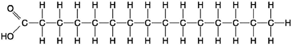   Figure 3.8 -Which of the following statements regarding the molecule illustrated in Figure 3.8 is true? A) It is a saturated fatty acid. B) It is an entirely nonpolar molecule. C) Molecules of this type are usually liquid at room temperature. D) It would be highly soluble in water.