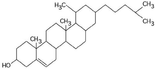   Figure 3.10 What is the structure shown in Figure 3.10? A) fatty acid molecule B) steroid molecule C) triacylglycerol molecule D) phospholipid molecule