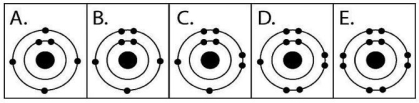   Figure 2.3 -Which drawing in Figure 2.3 is of the electron configuration of a sodium <sub>11</sub>Na<sup>+</sup> ion? A) A B) B C) C D) D E) E