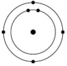 Which of the atoms shown would be most likely to form a cation with a charge of +1? A)    B)    C)    D)    E)   