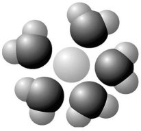   Figure 2.7 Based on your knowledge of the polarity of water molecules,the solute molecule depicted in Figure 2.7 is most likely A) positively charged. B) negatively charged. C) without charge. D) hydrophobic. E) nonpolar.