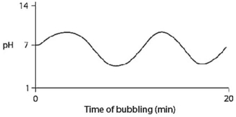 Carbon dioxide (CO<sub>2</sub>) is readily soluble in water,according to the equation CO<sub>2</sub> + H<sub>2</sub>O ↔ H<sub>2</sub>CO<sub>3</sub>.Carbonic acid (H<sub>2</sub>CO<sub>3</sub>) is a weak acid.If CO<sub>2</sub> is bubbled into a beaker containing pure,freshly distilled water,which of the following graphs correctly describes the results? A)    B)    C)    D)    E)   
