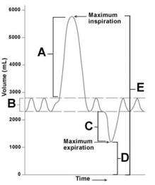   -The residual volume is represented by the _______ on the figure. A) letter A B) letter B C) letter C D) letter D E) letter E