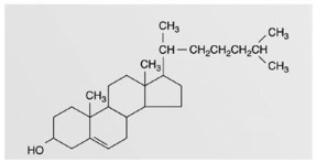   This figure represents an example of a(n)  A) steroid. B) triglyceride. C) phospholipids. D) wax. E) fatty acid.