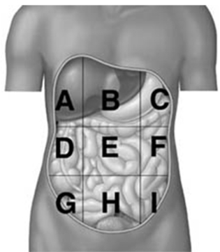  -A patient arrives at an emergency room with a traumatic pneumothorax after a car accident.In the course of the accident,the patient suffered a penetration wound which allowed air to fill the space around one of his lungs causing it to collapse.Which cavity must the doctor remove the air from? A) pleural cavity B) thoracic cavity C) abdominal cavity D) pelvic cavity E) abdominopelvic cavity