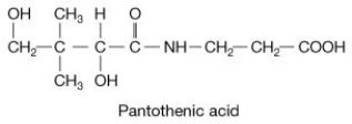 What is the chemical formula for the following molecule?   A) C<sub>8</sub>H<sub>1</sub><sub>6</sub>O<sub>3</sub>N B) C<sub>9</sub>H<sub>1</sub><sub>5</sub>O<sub>3</sub>N C) C<sub>9</sub>H<sub>17</sub>O<sub>4</sub>N D) C<sub>9</sub>H<sub>1</sub><sub>2</sub>O<sub>4</sub>N 