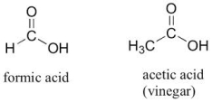 The functional group discussed in the chapter, which is found in both of the following organic molecules, is _____.  